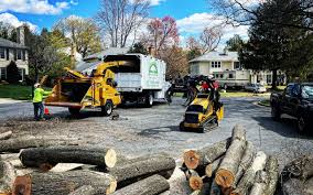 Best Leaf Removal  in Stonebridge, NJ