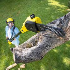 Stonebridge, NJ Tree Services Pros