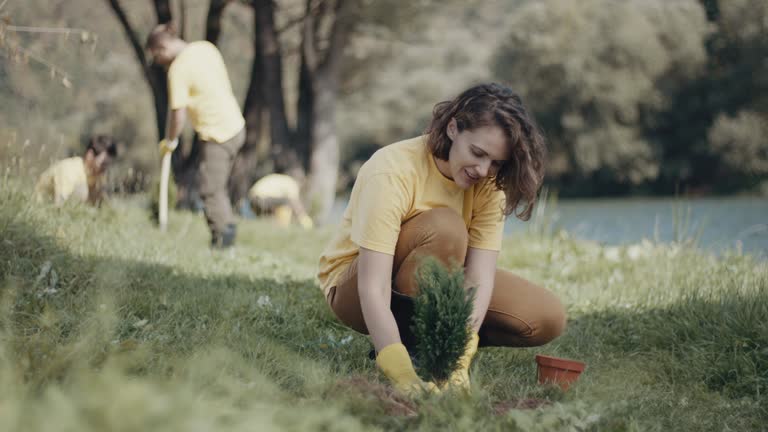 Best Stump Grinding and Removal  in Stonebridge, NJ