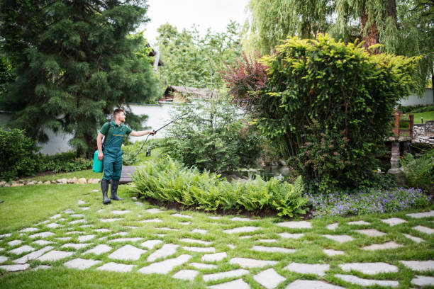 Best Lawn Drainage Solutions  in Stonebridge, NJ